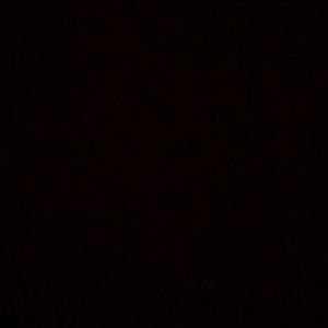 Meet your Posher, Ella